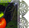 appletree05