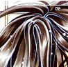featherbath02
