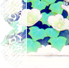 garden16
