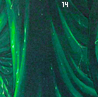 greenhouse14