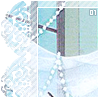 pearlsdoves01
