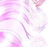 roses10