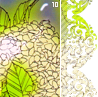 springrain10