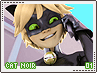 miraculous-catnoir01