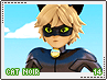 miraculous-catnoir14