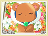 sp-yurikuma-bears07